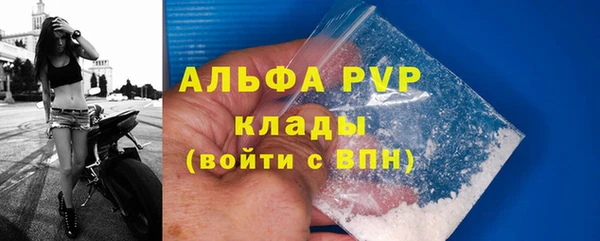 прущие грибы Покачи