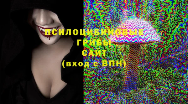 прущие грибы Покачи