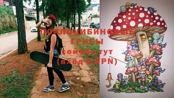 крисы Алексеевка
