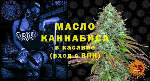 сатива Армянск
