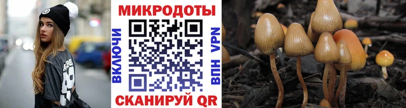 Галлюциногенные грибы ЛСД  мега ссылка  Кириши  хочу наркоту 