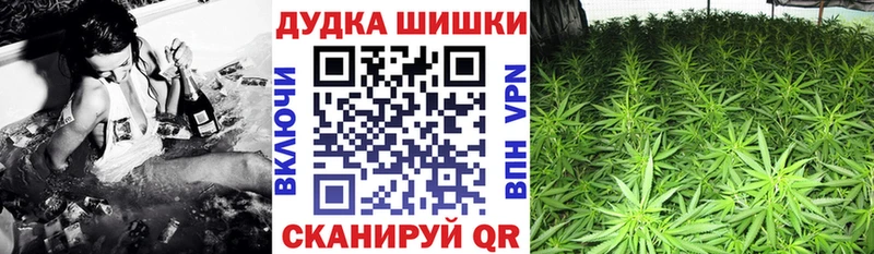 МАРИХУАНА ГИДРОПОН  Кириши 